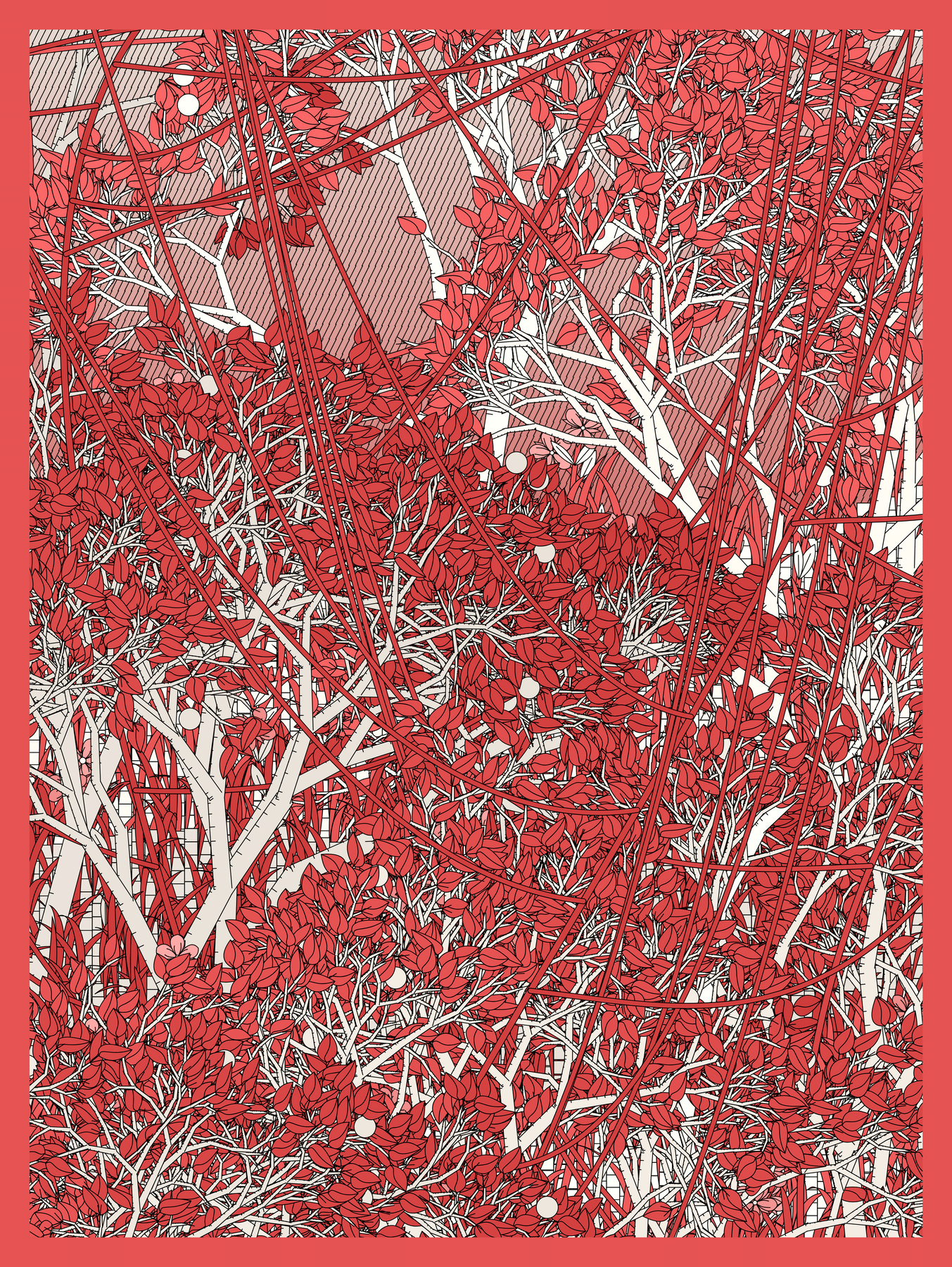 Entangled preview