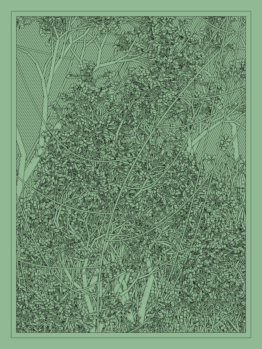 Mint #1