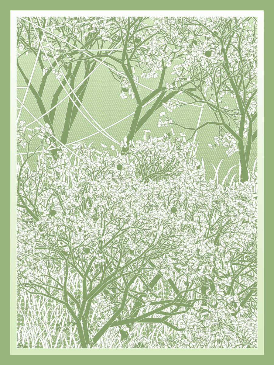 Mint #11