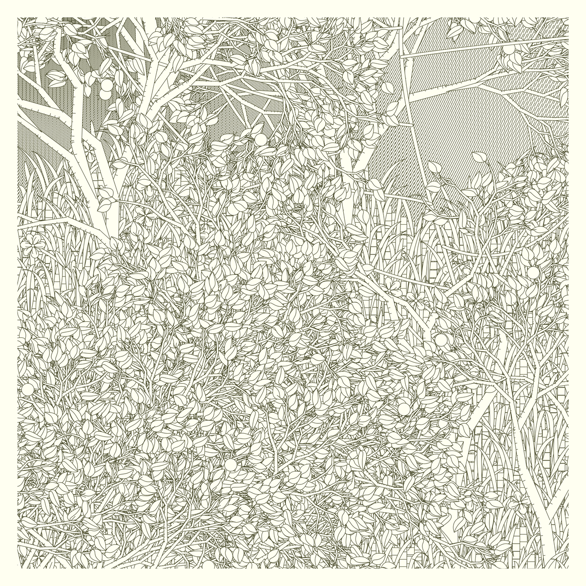 Mint #131