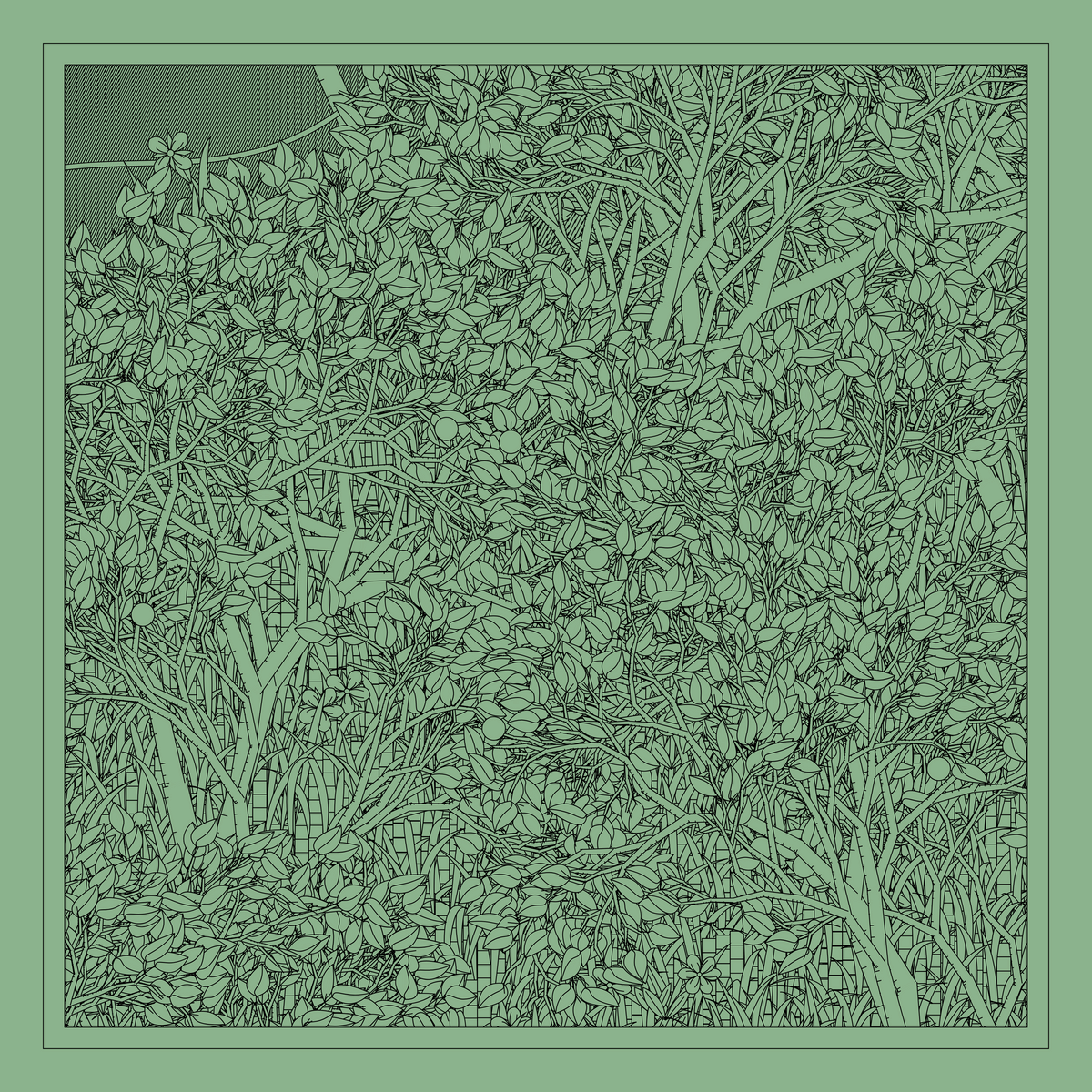 Mint #145