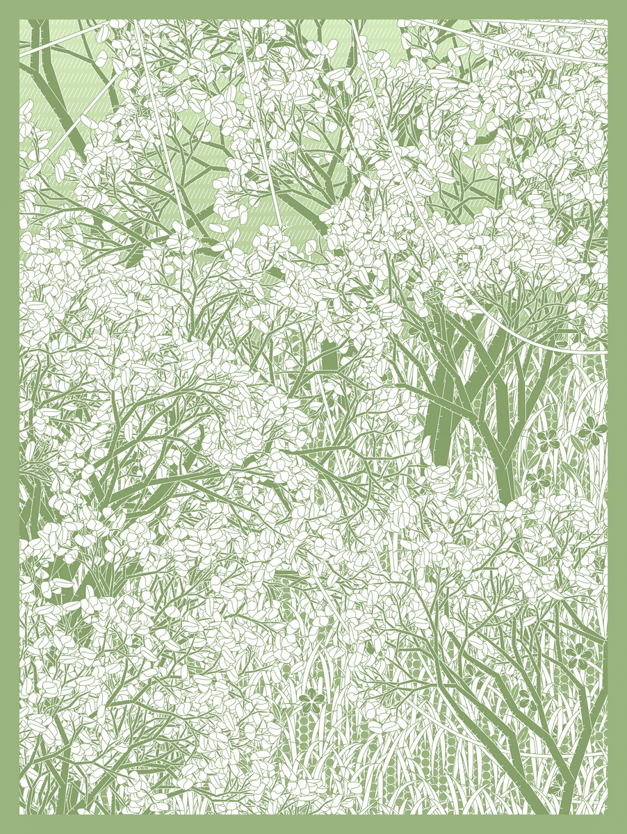 Mint #154