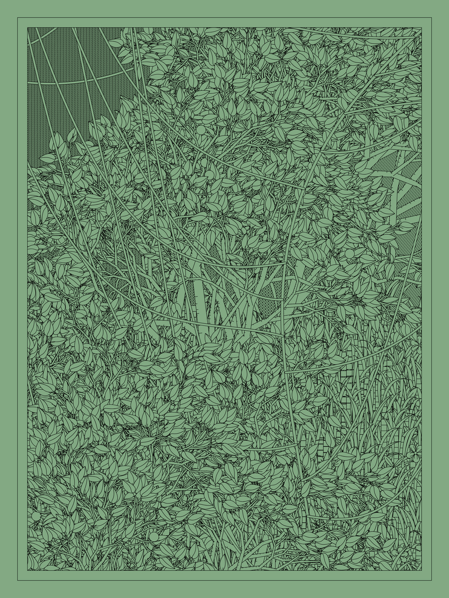 Mint #169