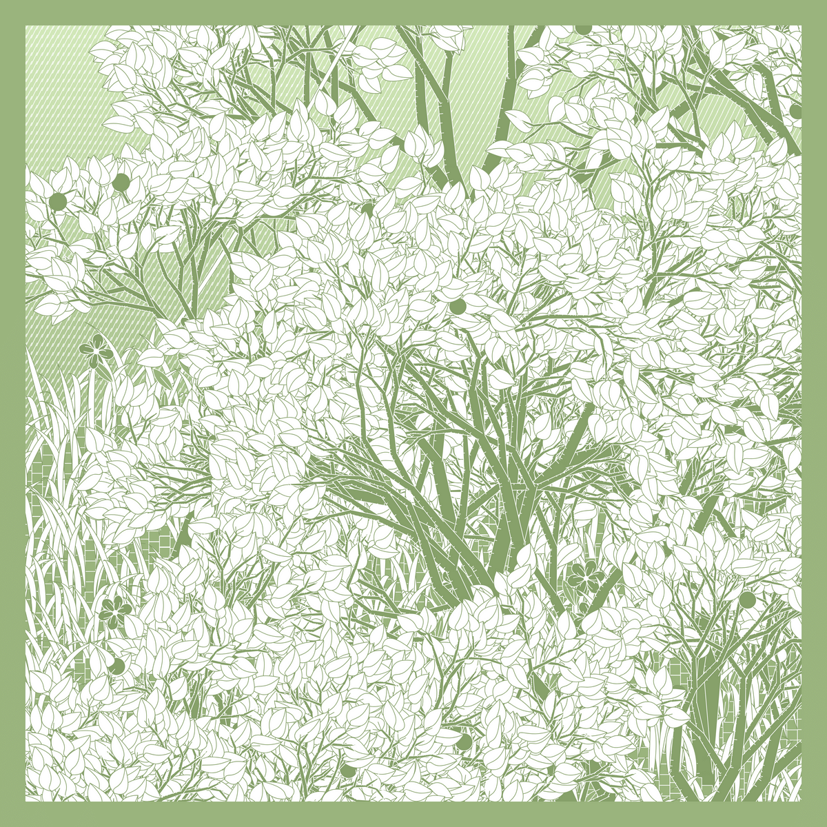 Mint #178