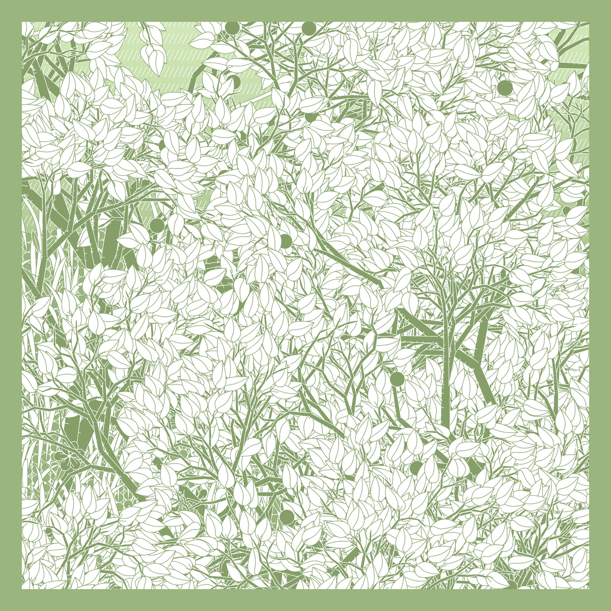 Mint #179