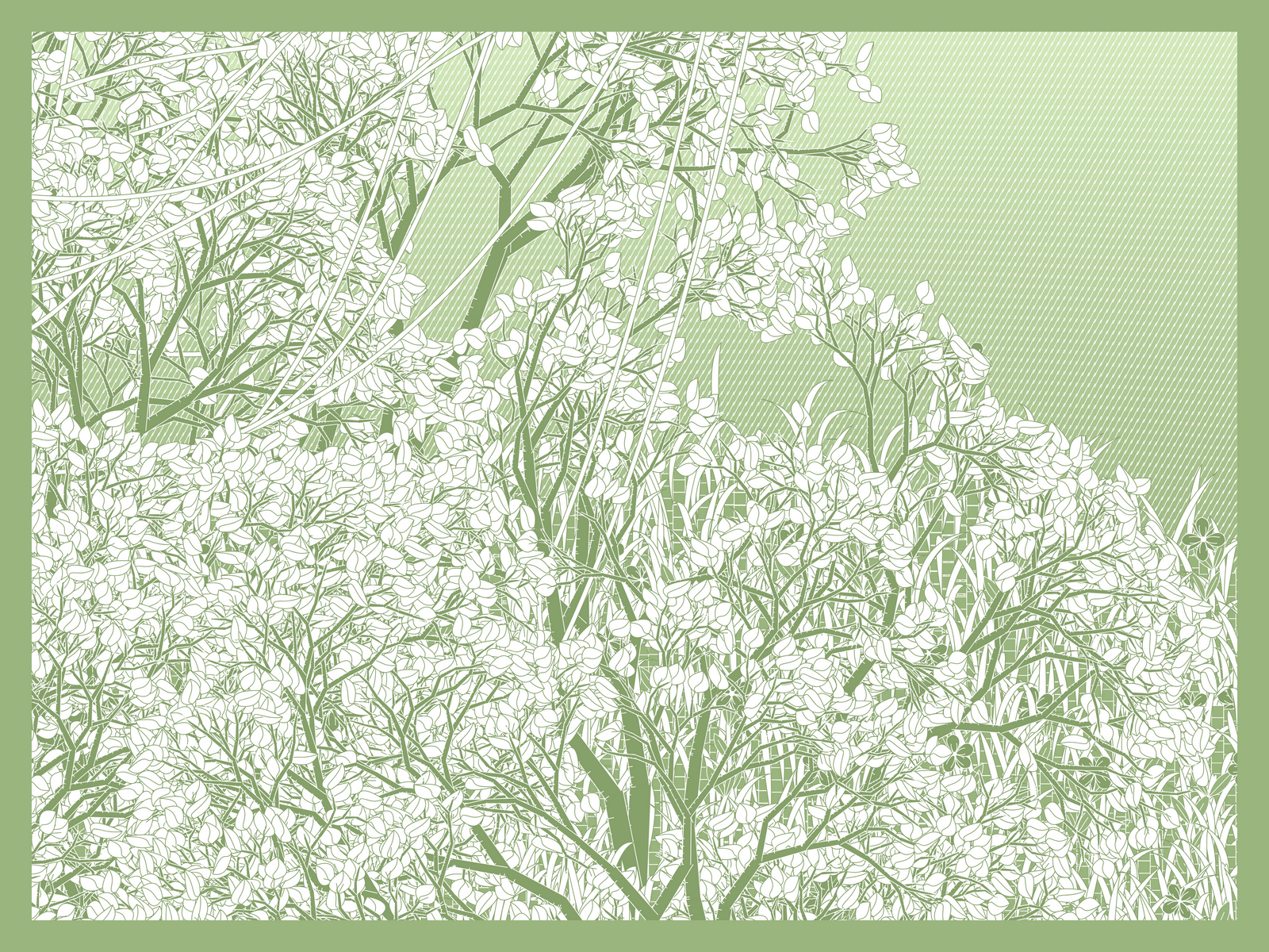 Mint #182