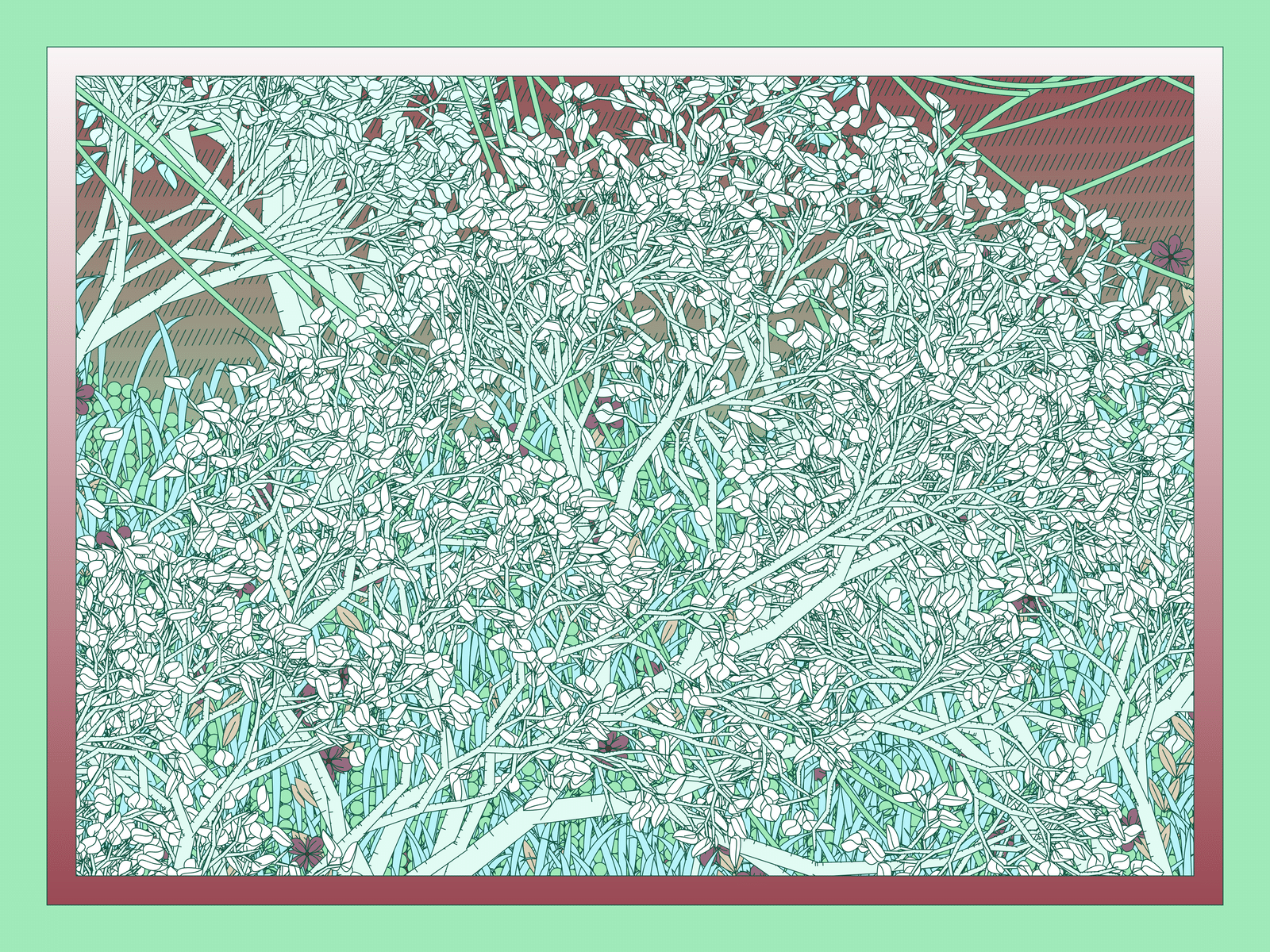 Mint #211