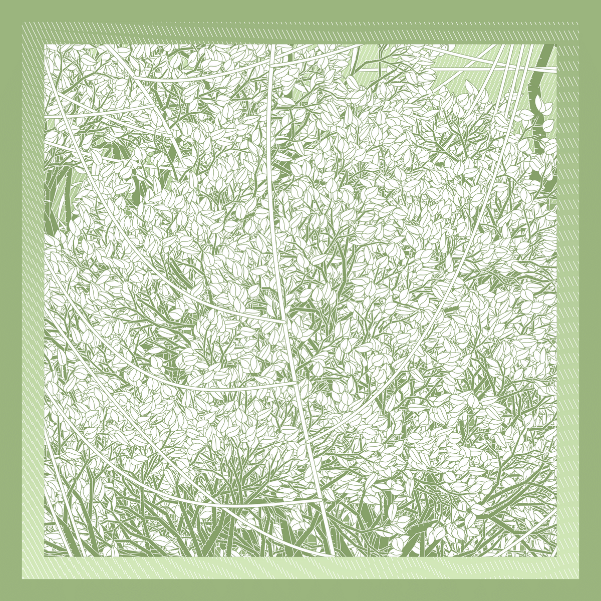 Mint #220