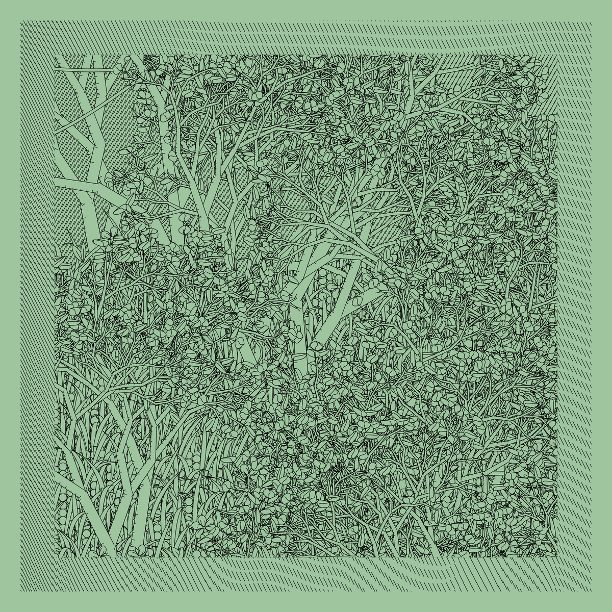 Mint #227