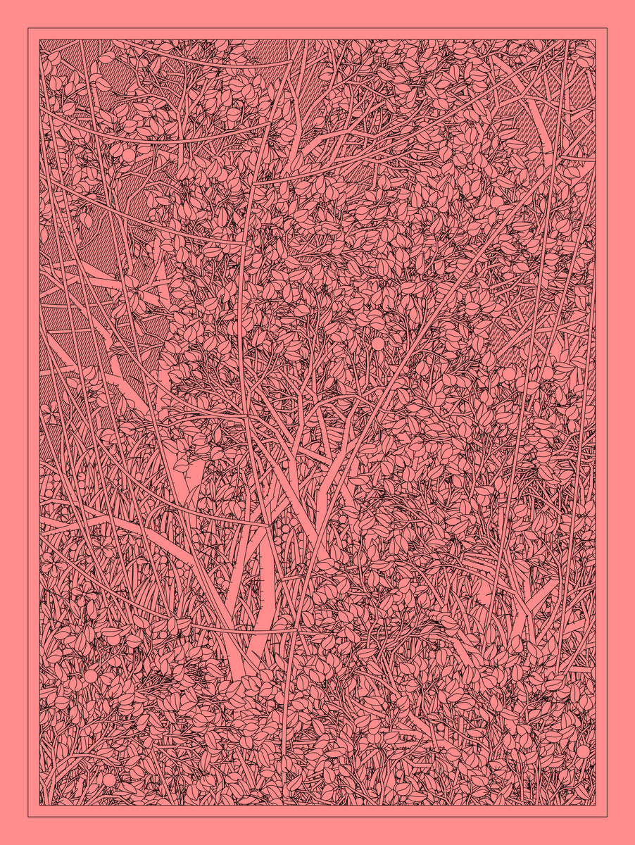 Mint #251