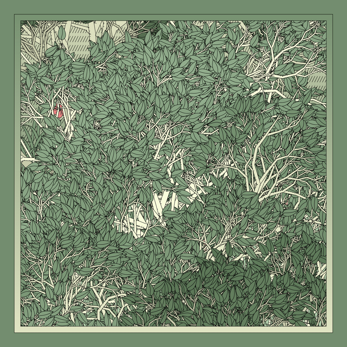 Mint #26