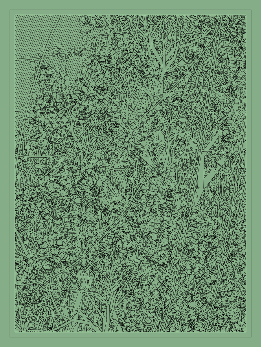 Mint #271