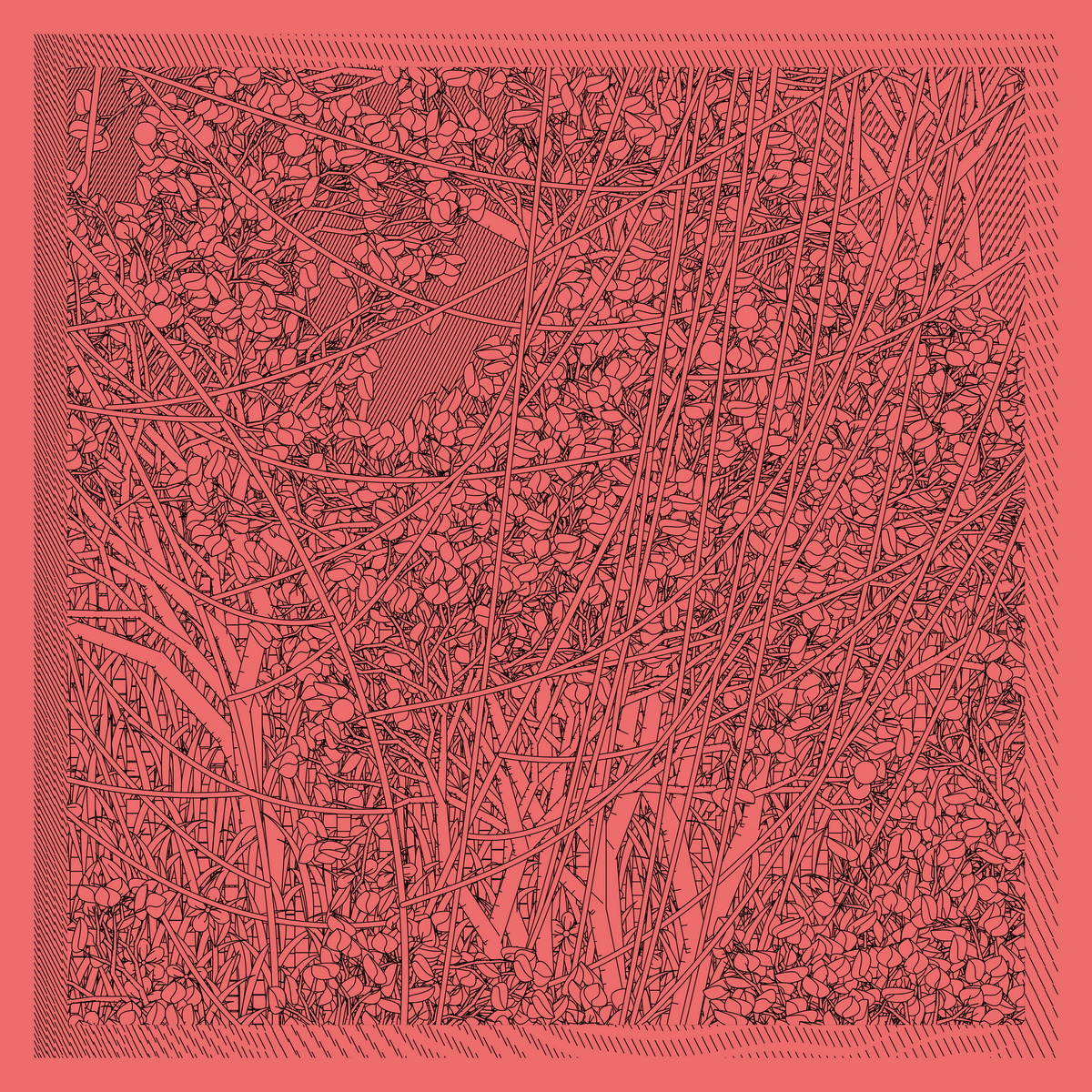 Mint #281