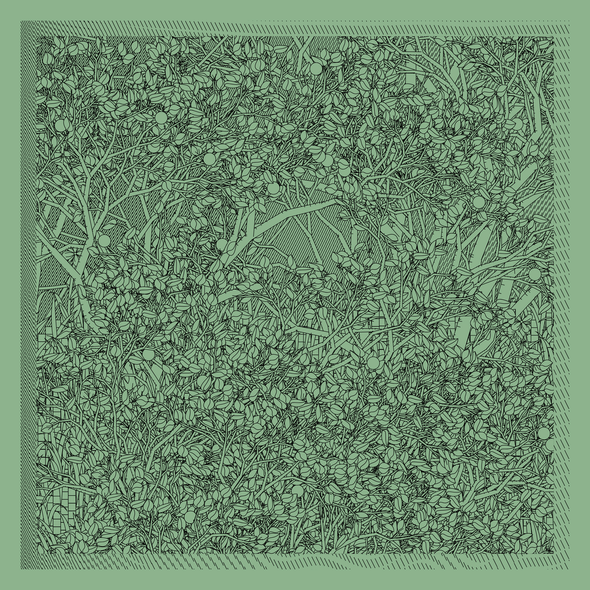 Mint #293