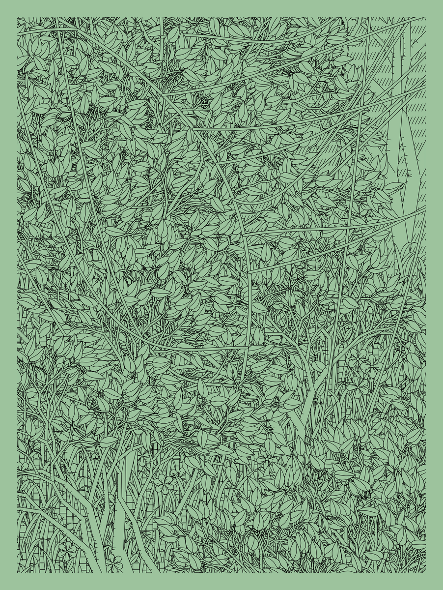Mint #31