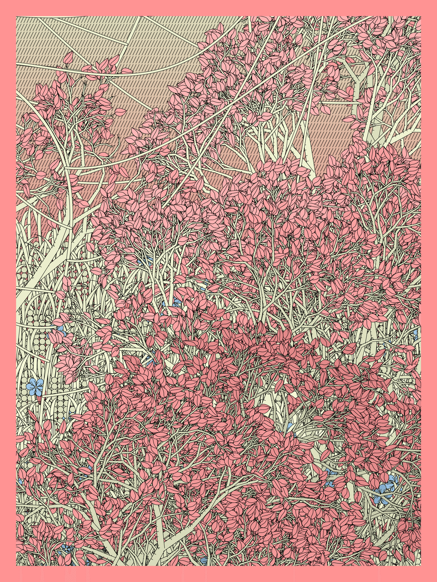 Mint #340
