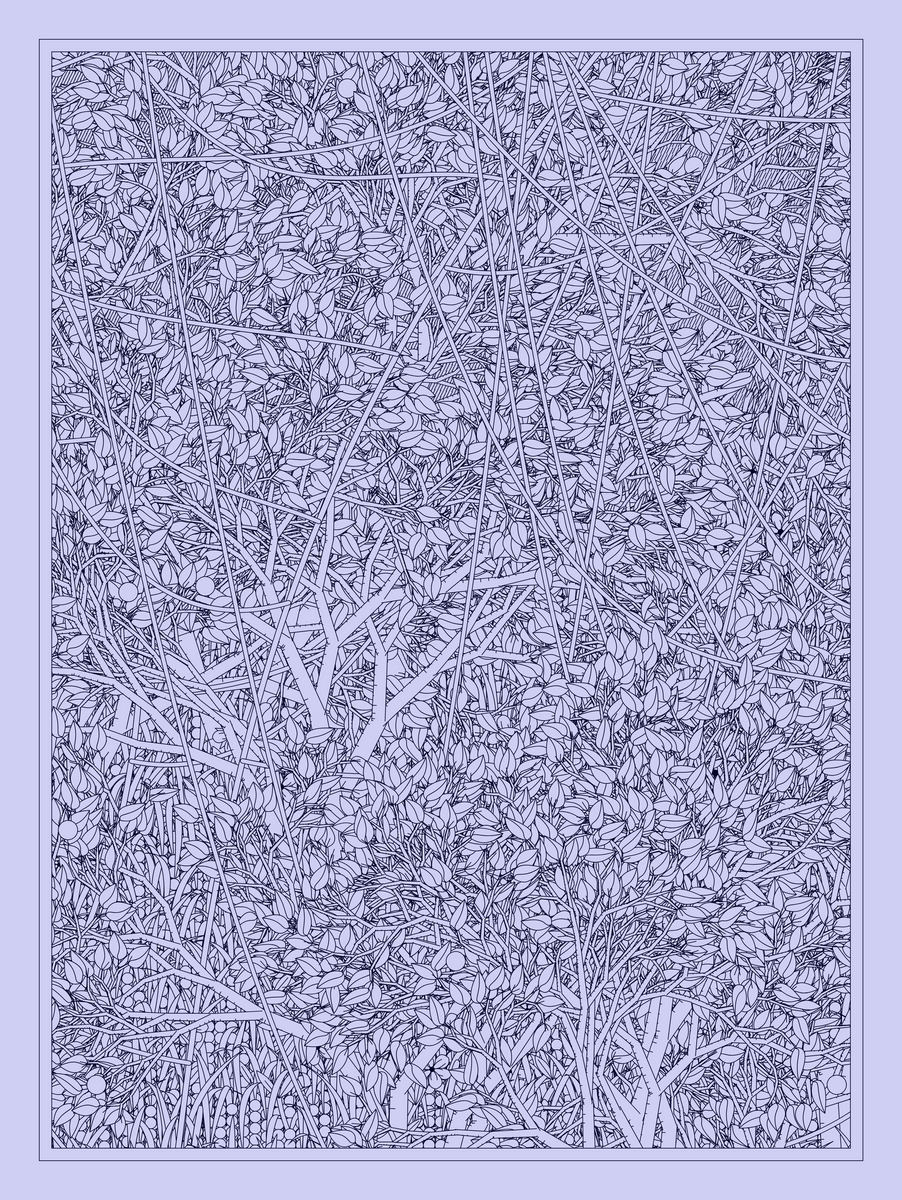 Mint #342