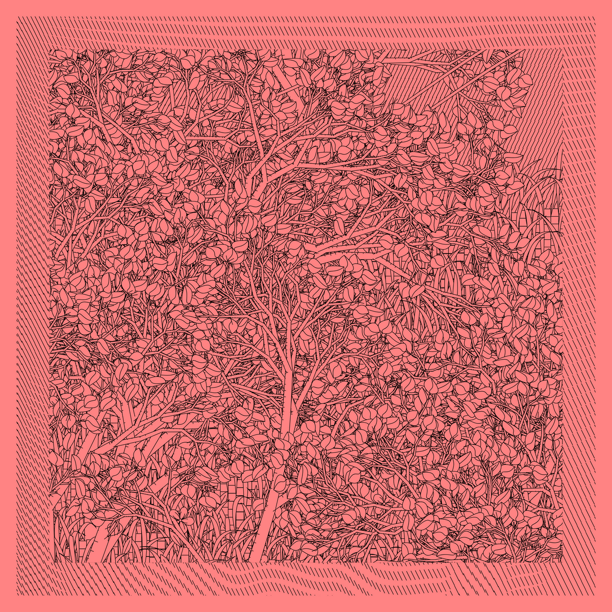 Mint #345