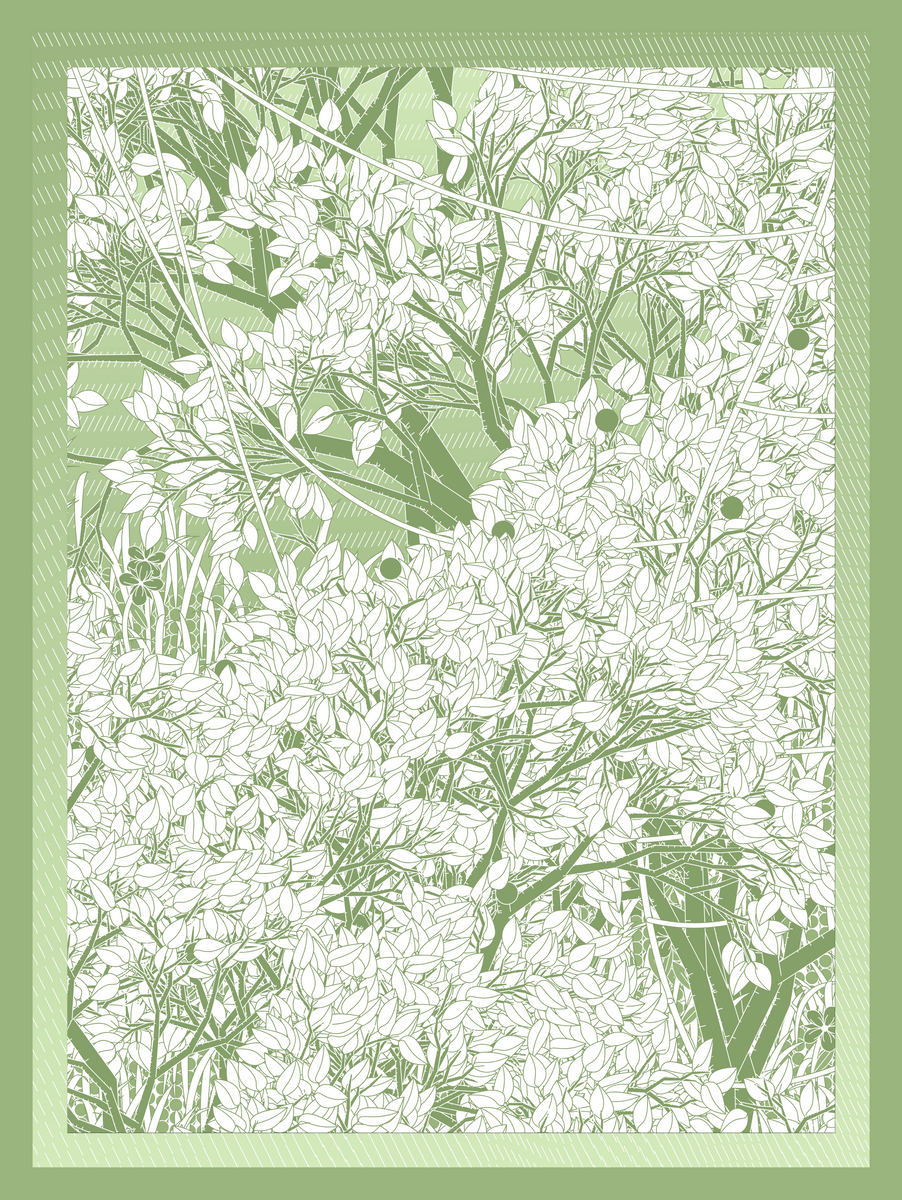 Mint #348