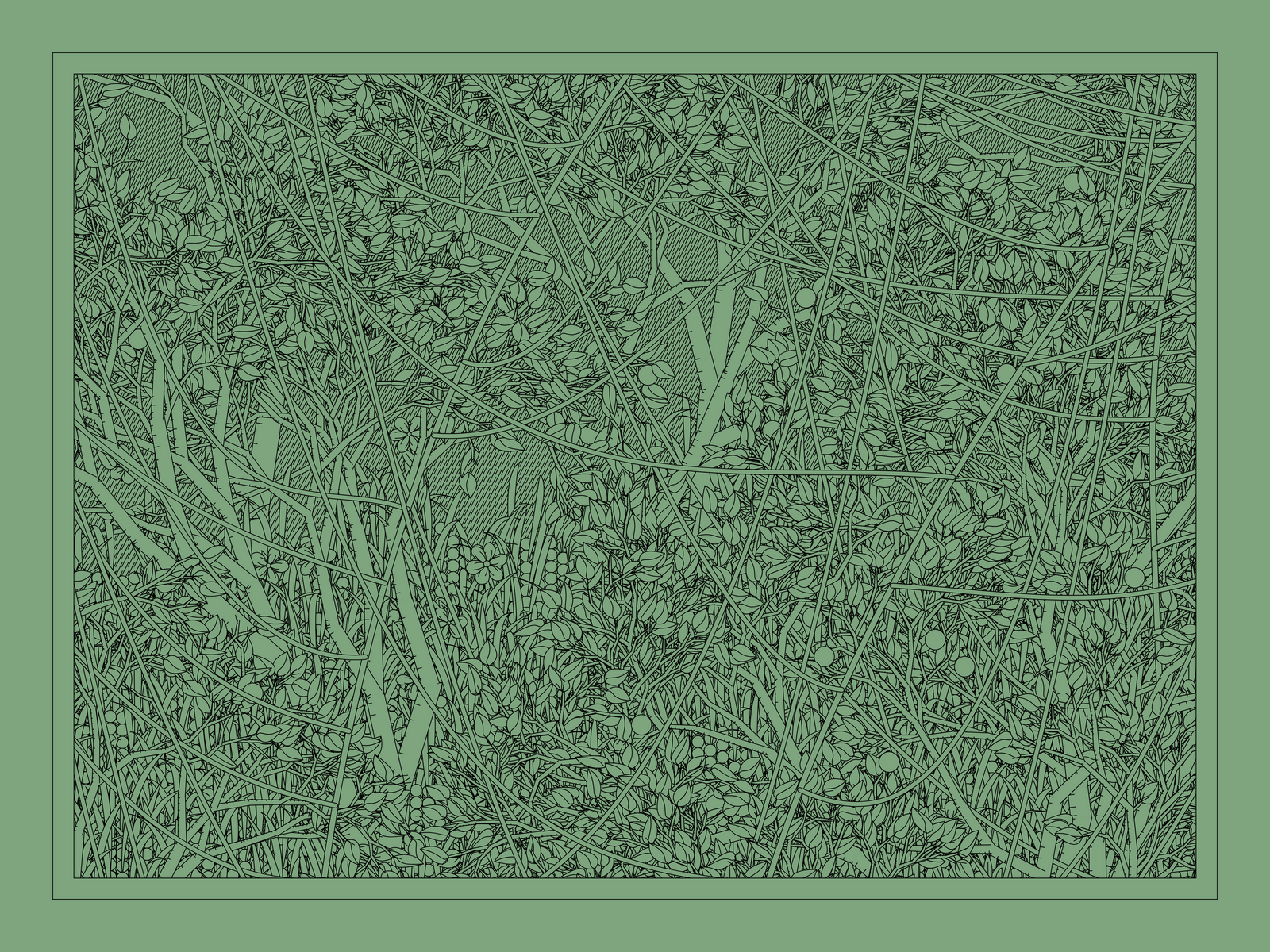 Mint #35