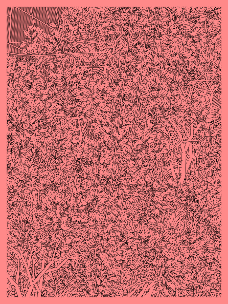 Mint #356
