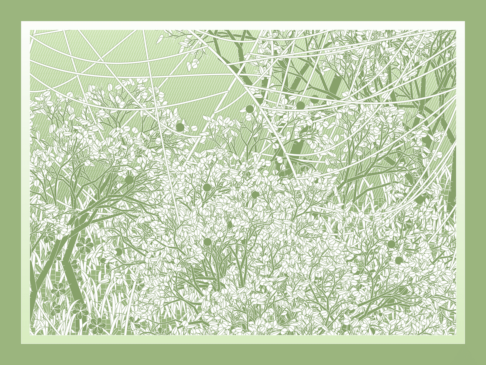 Mint #362