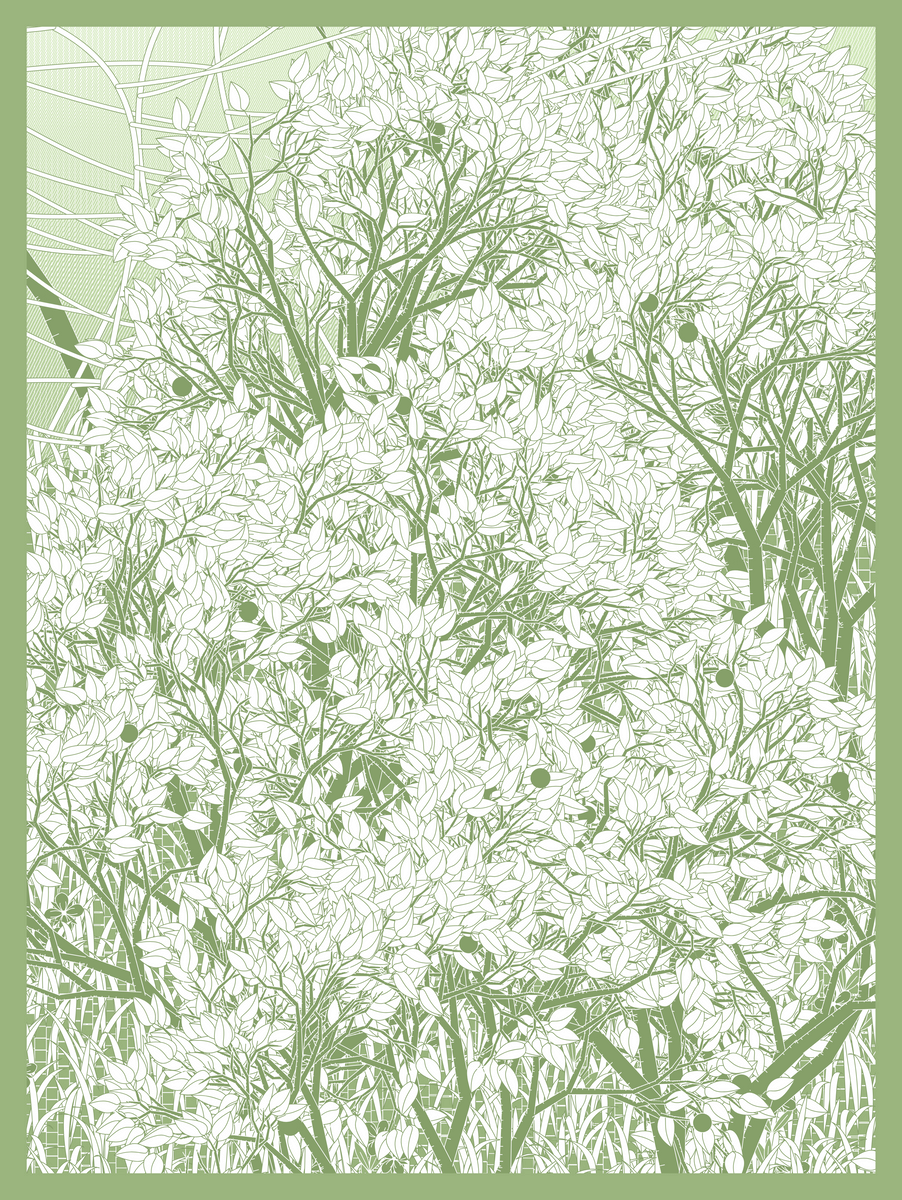 Mint #369