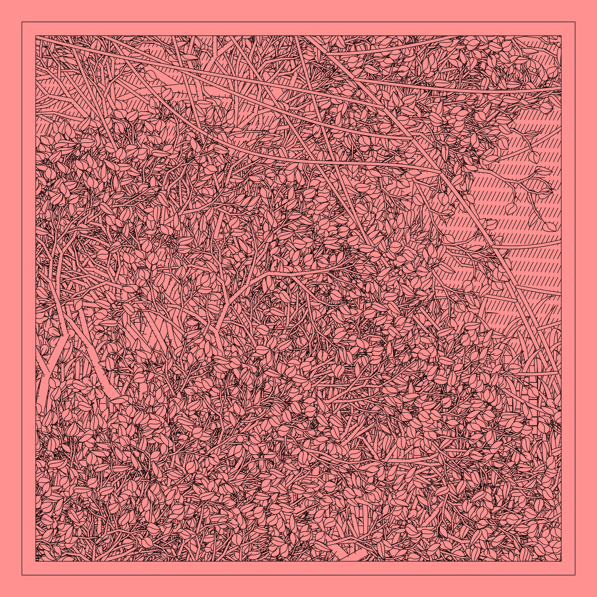 Mint #371