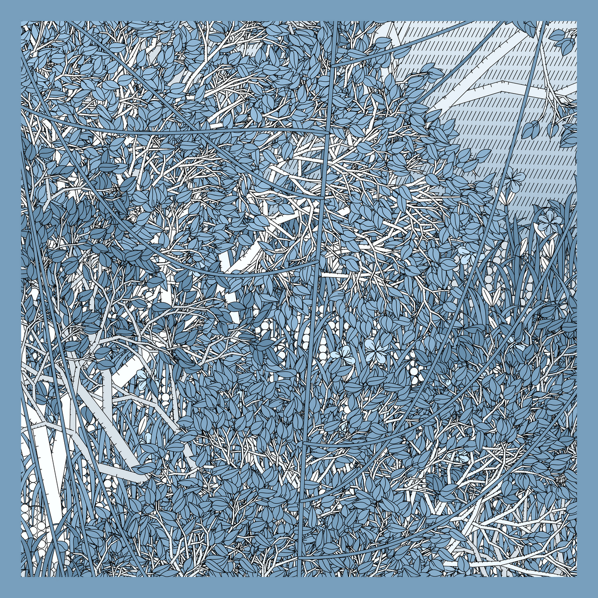 Mint #374