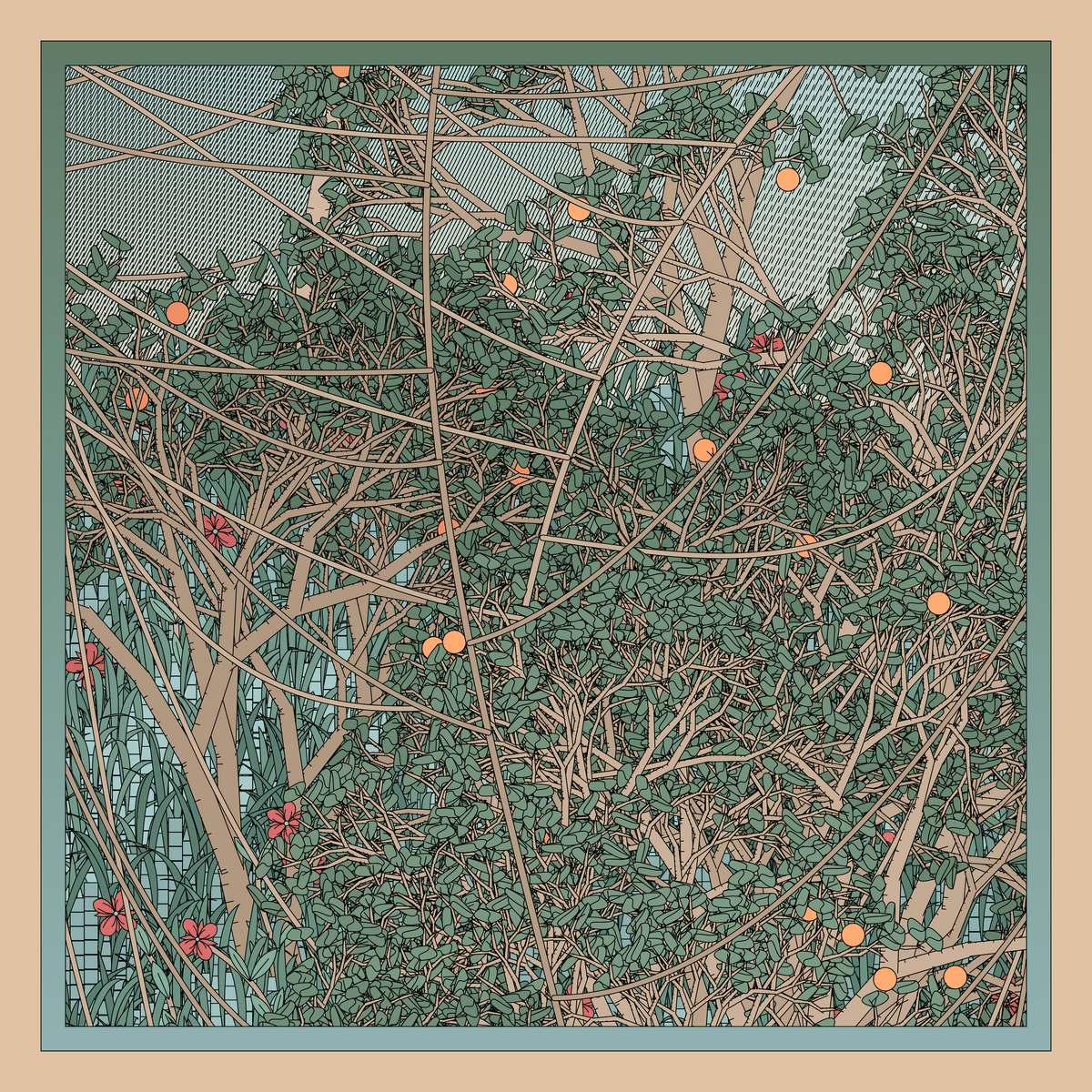 Mint #38