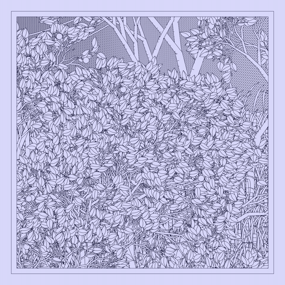 Mint #386