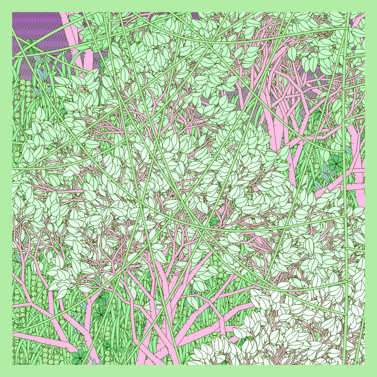 Mint #40