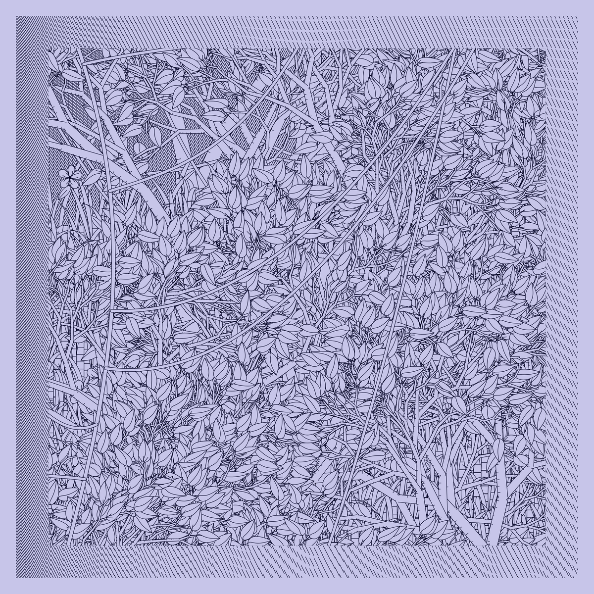 Mint #402