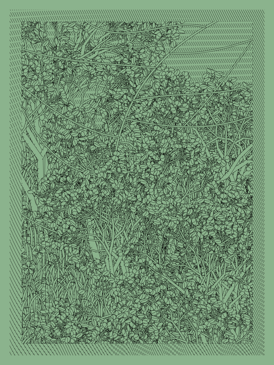 Mint #415