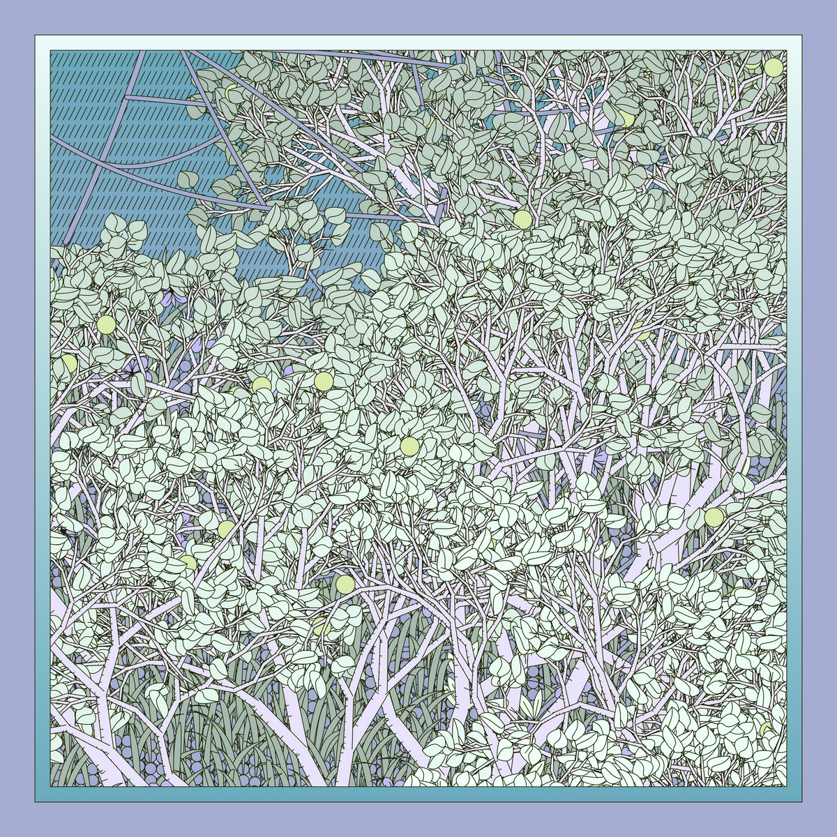 Mint #423