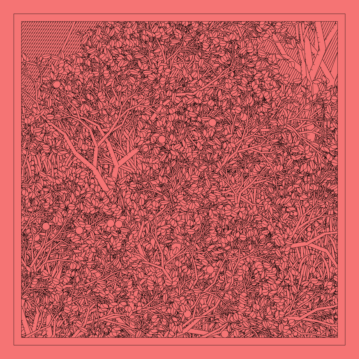 Mint #424