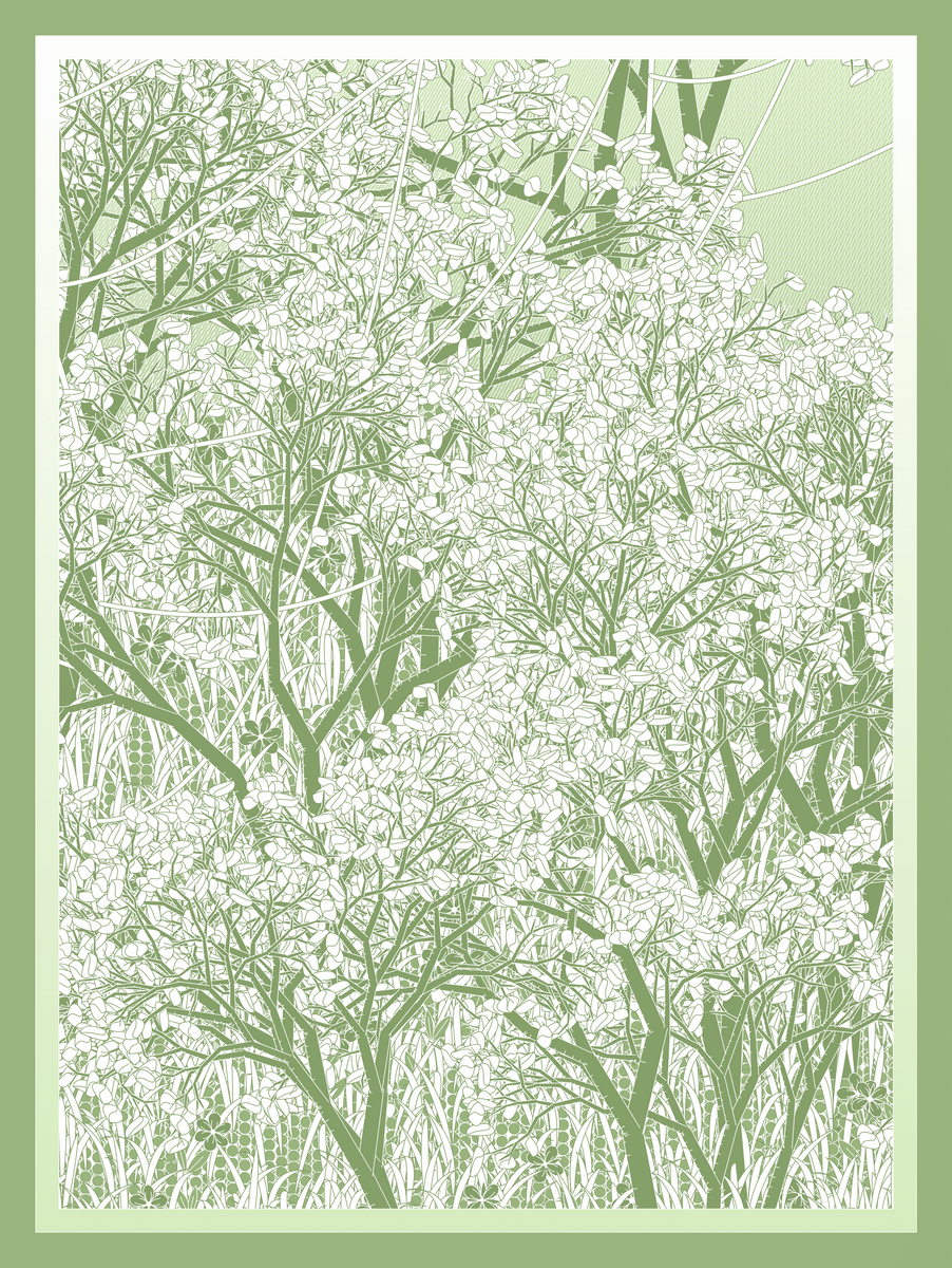 Mint #428