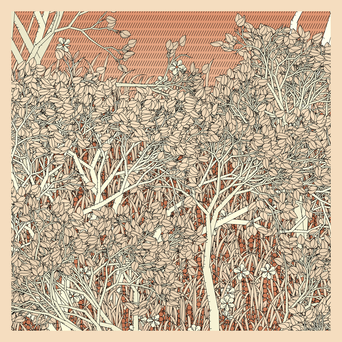 Mint #429