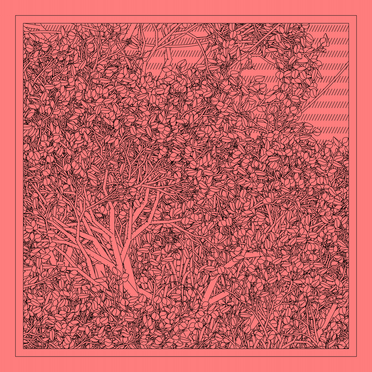 Mint #45