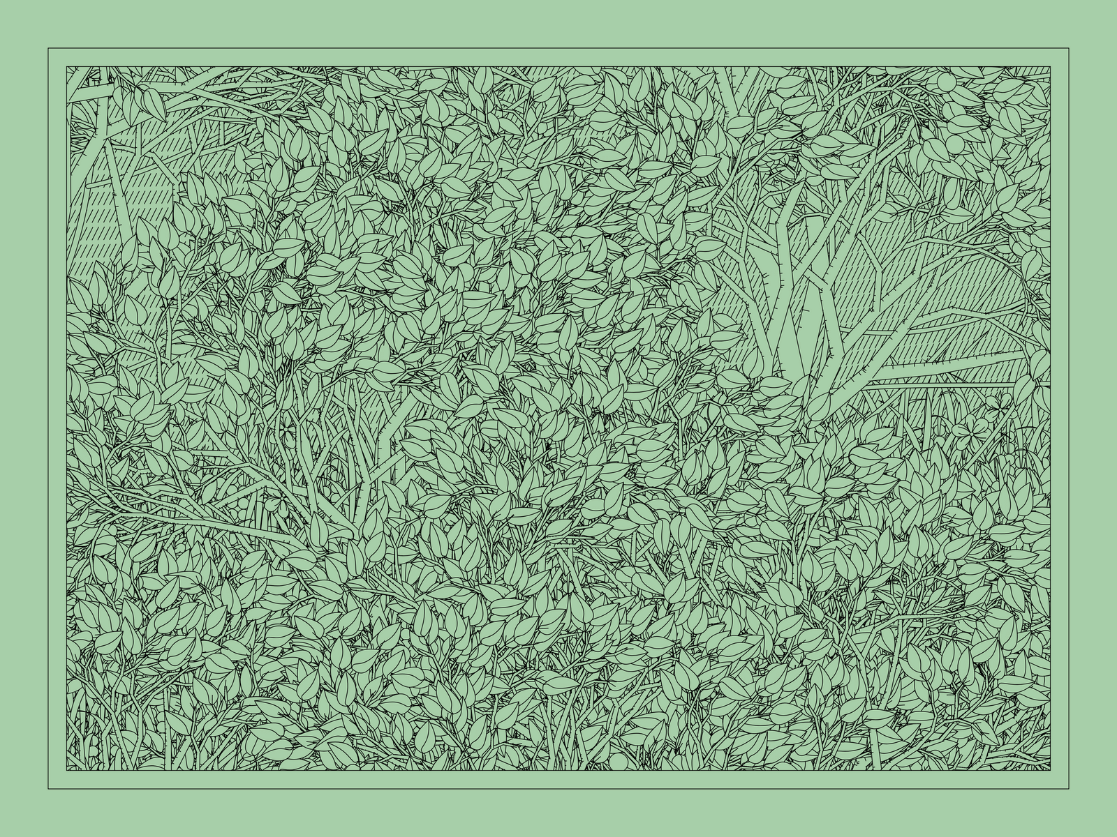 Mint #464