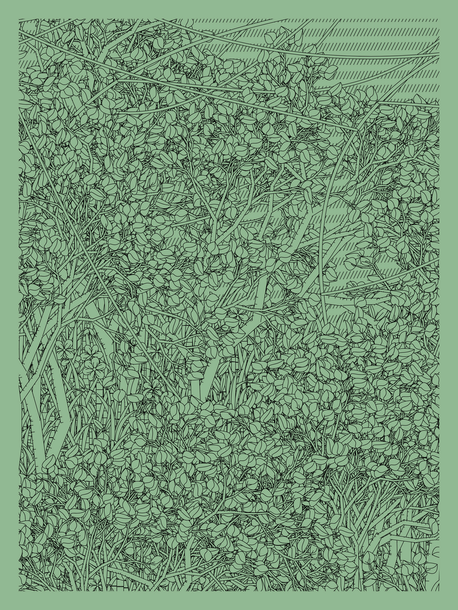 Mint #475
