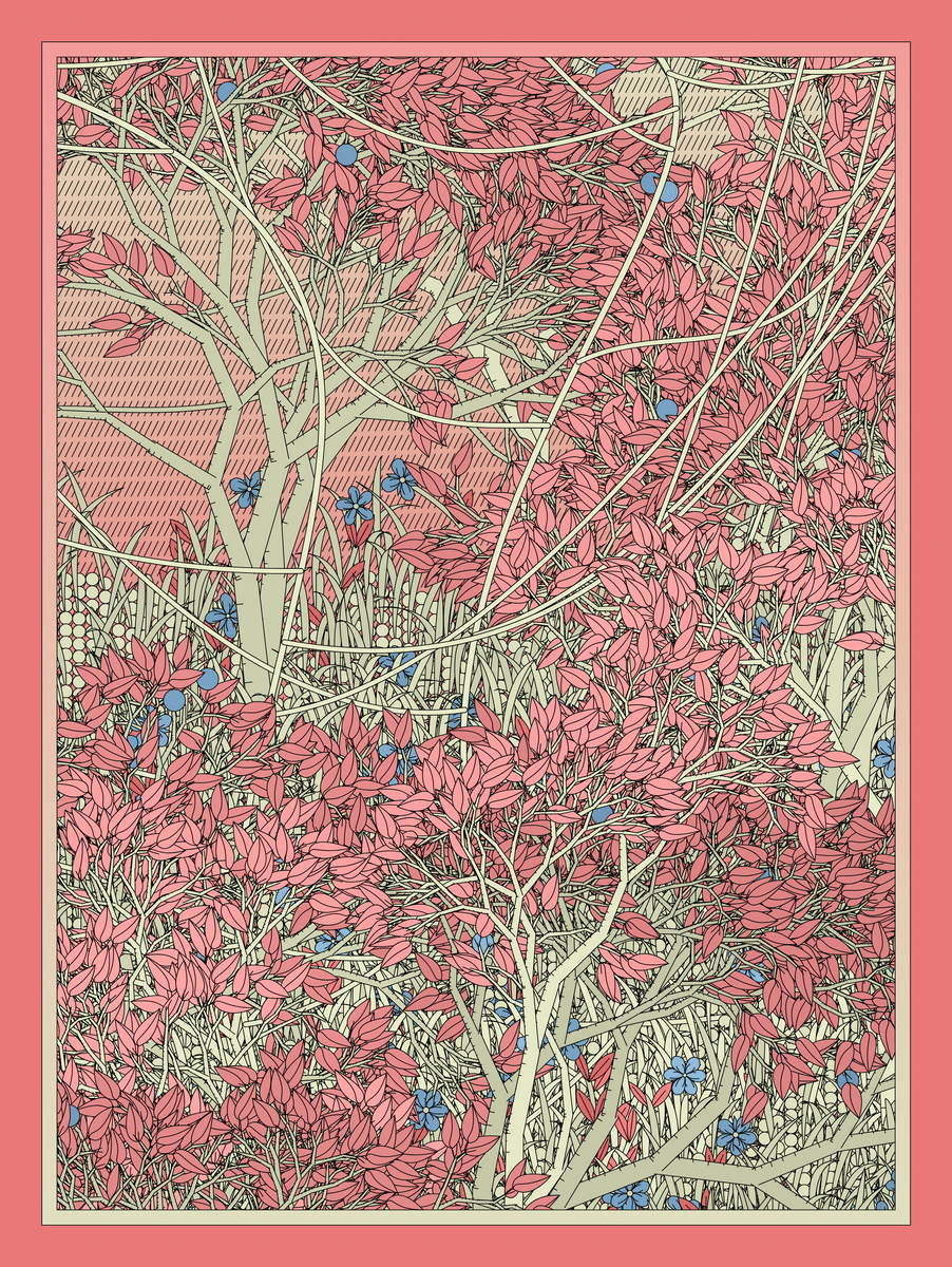 Mint #480