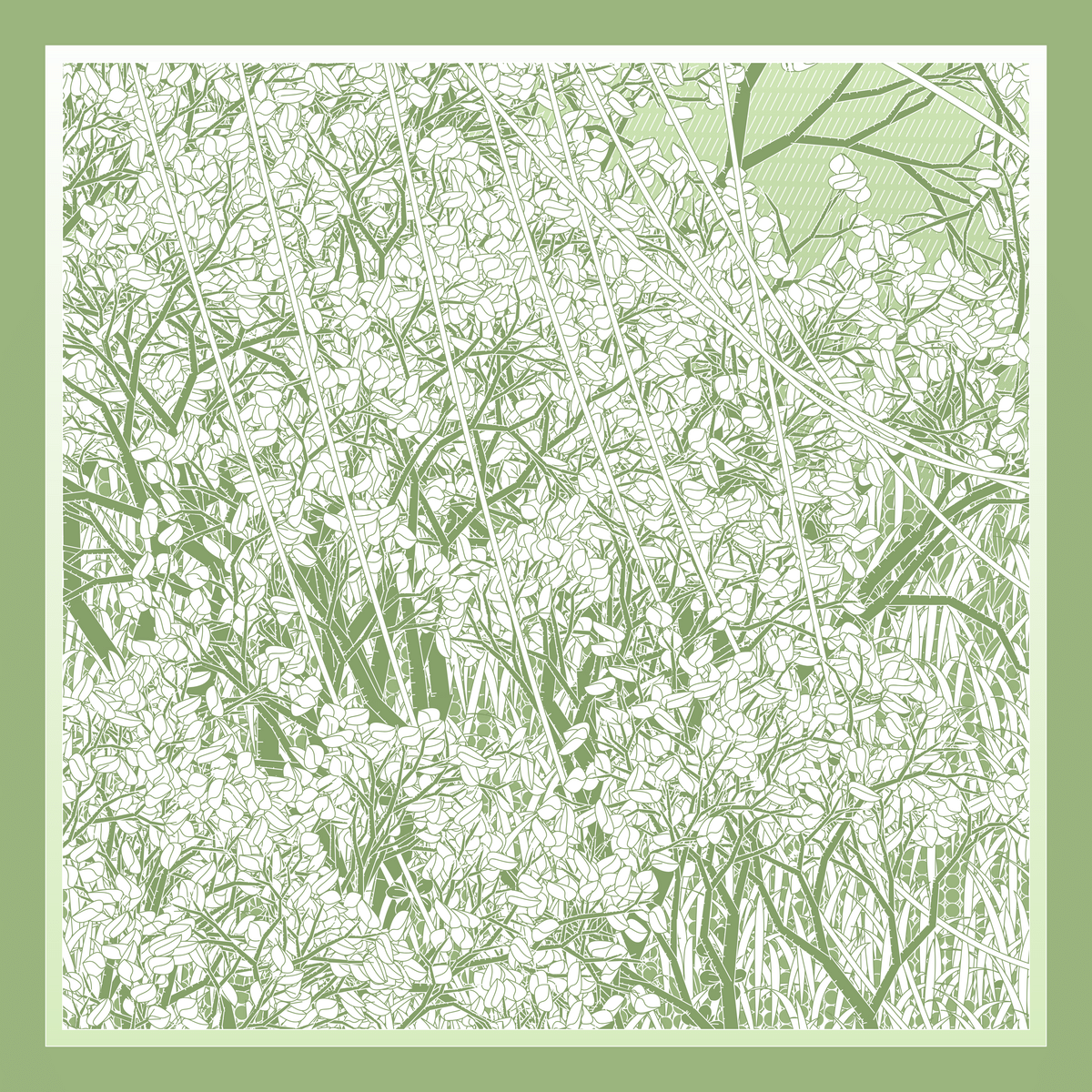 Mint #492