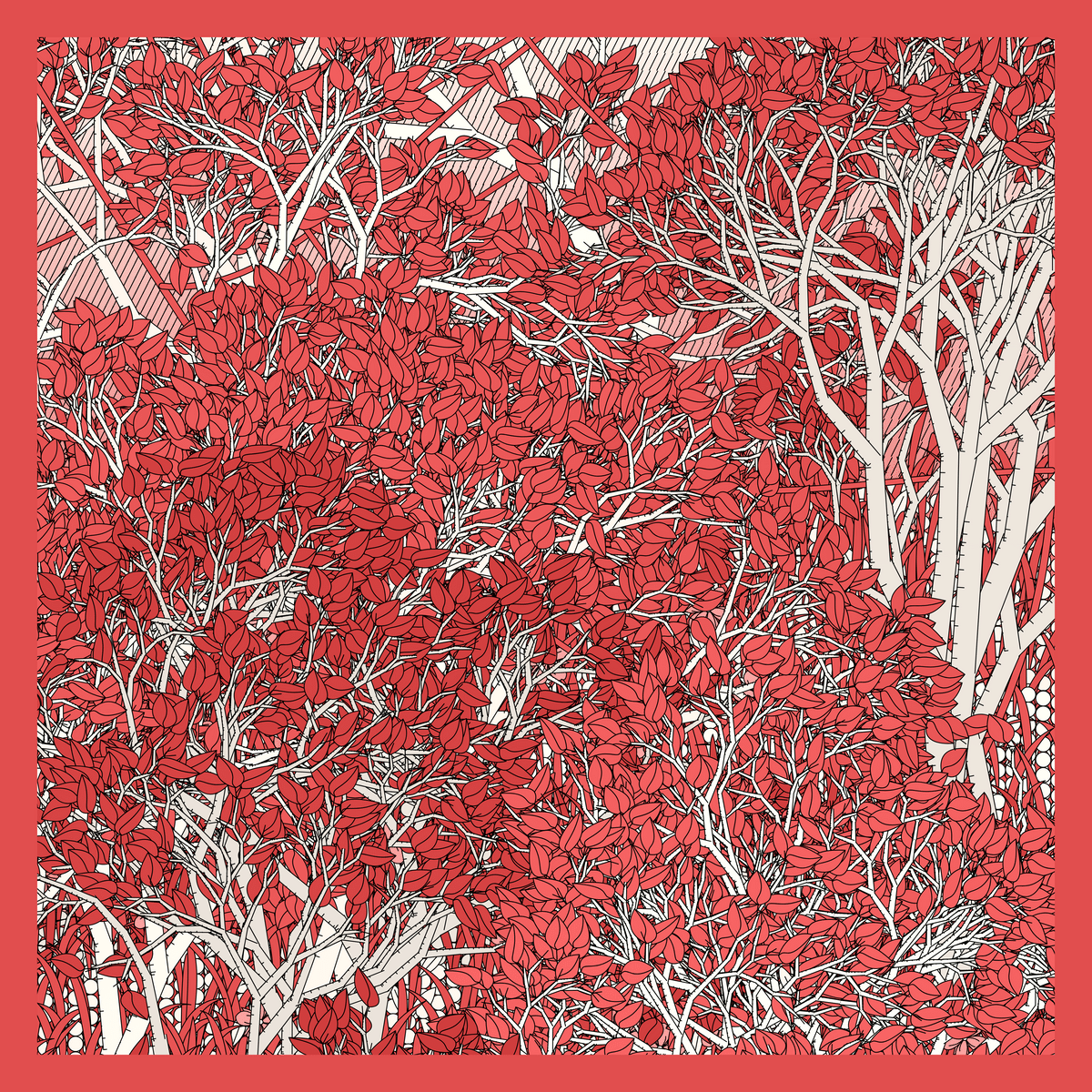 Mint #50