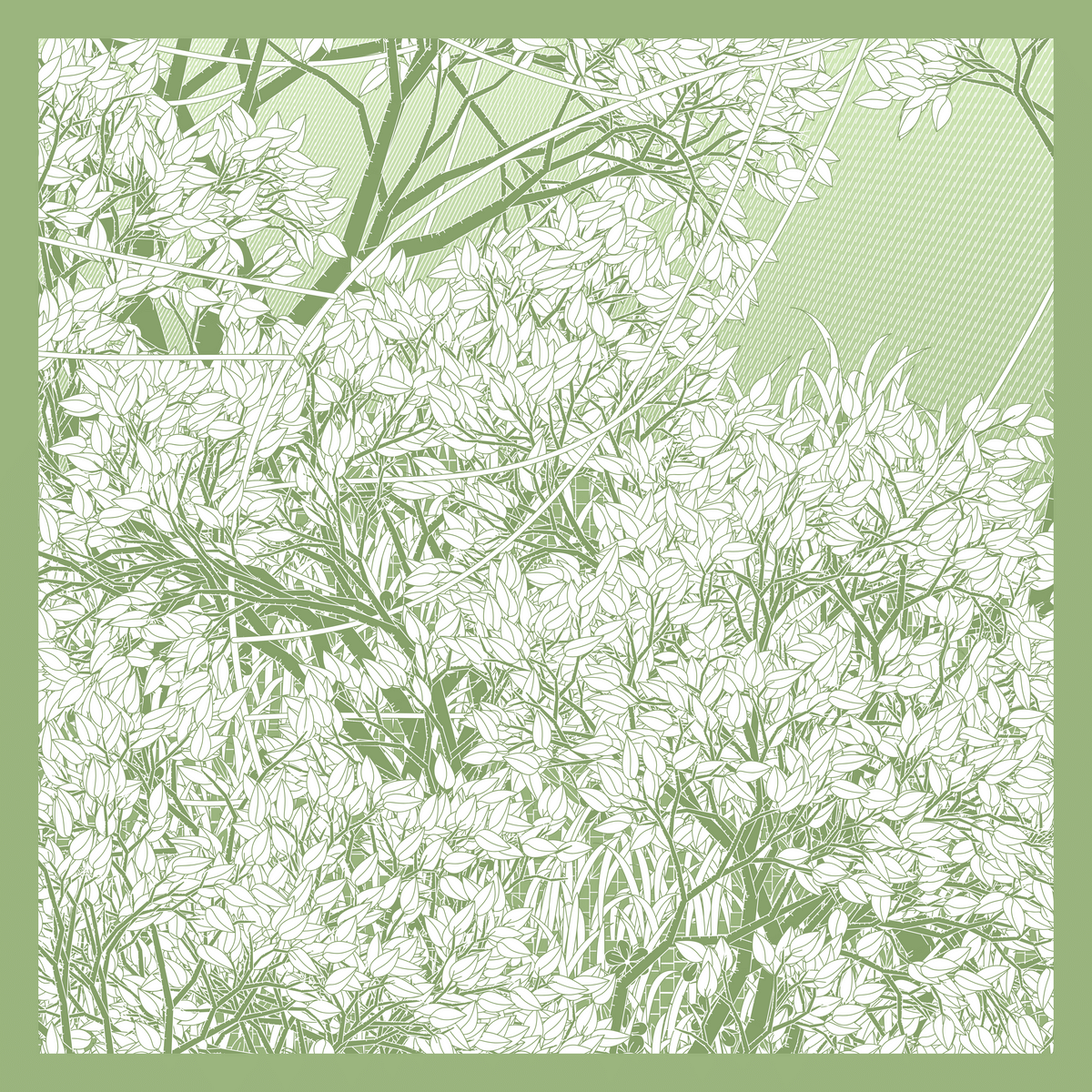 Mint #504