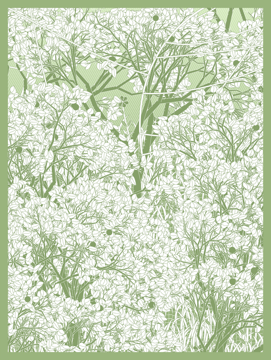 Mint #52
