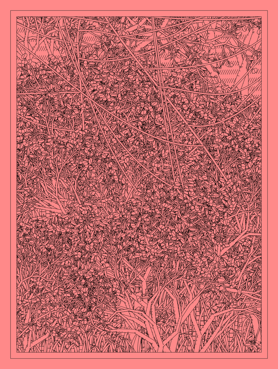 Mint #54