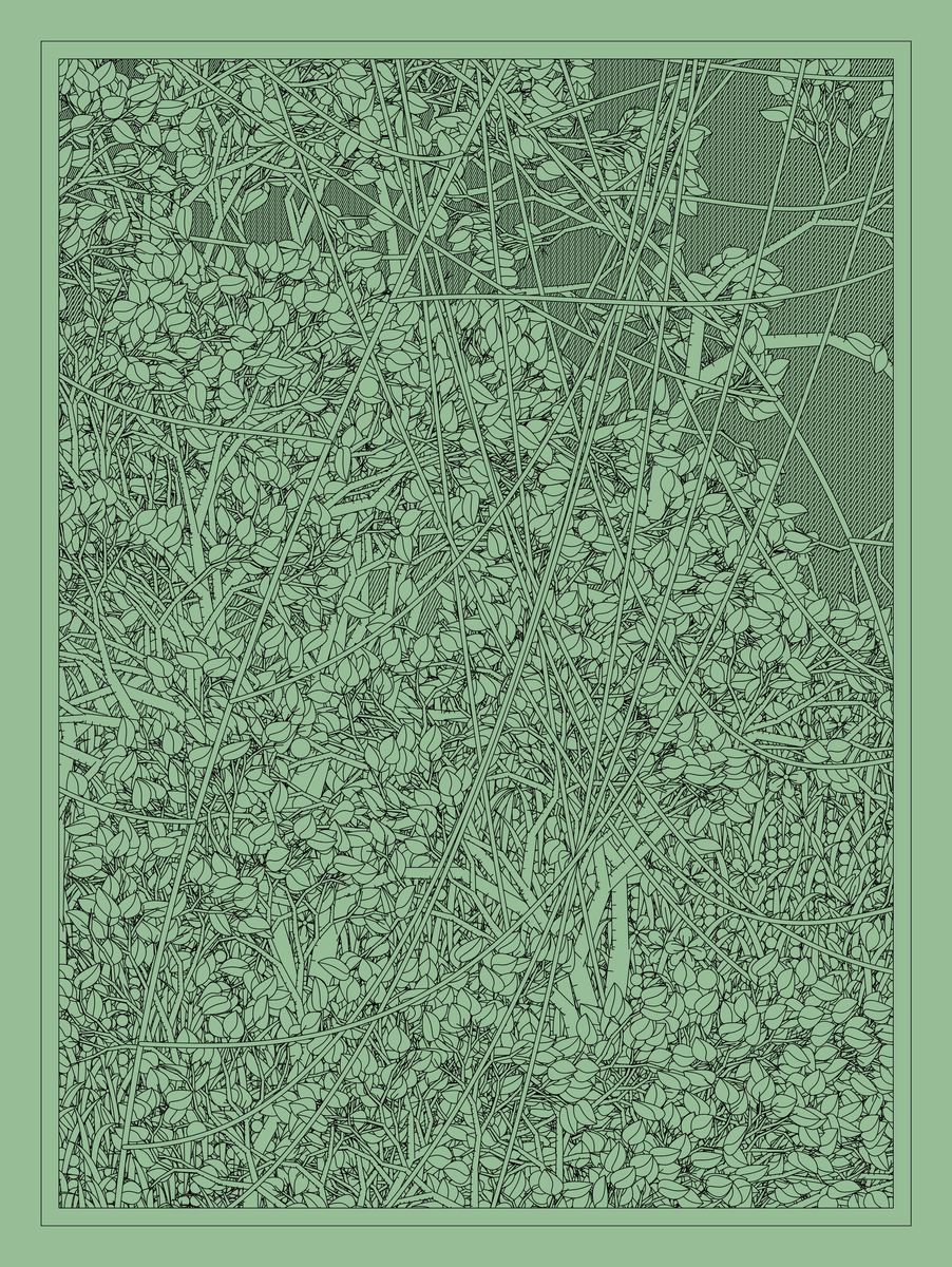 Mint #68