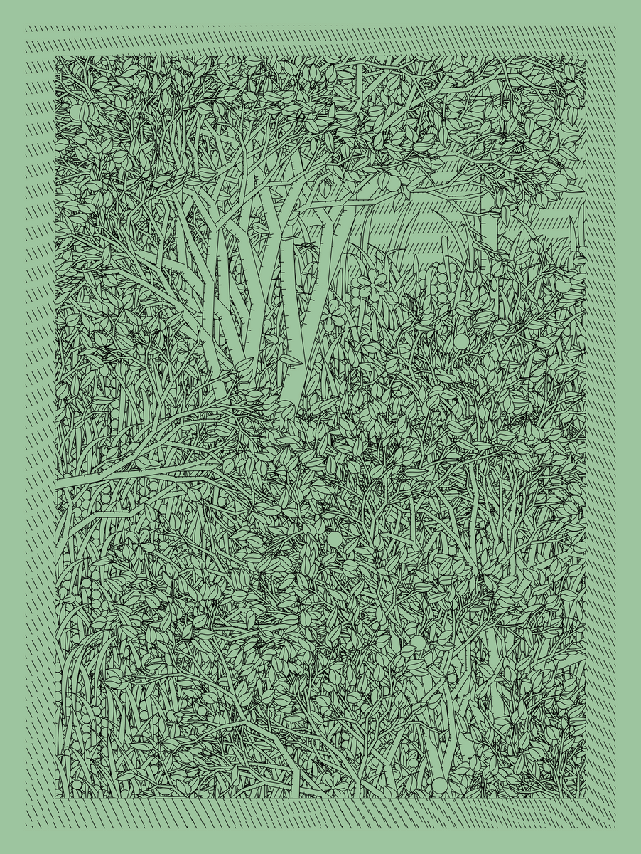 Mint #71