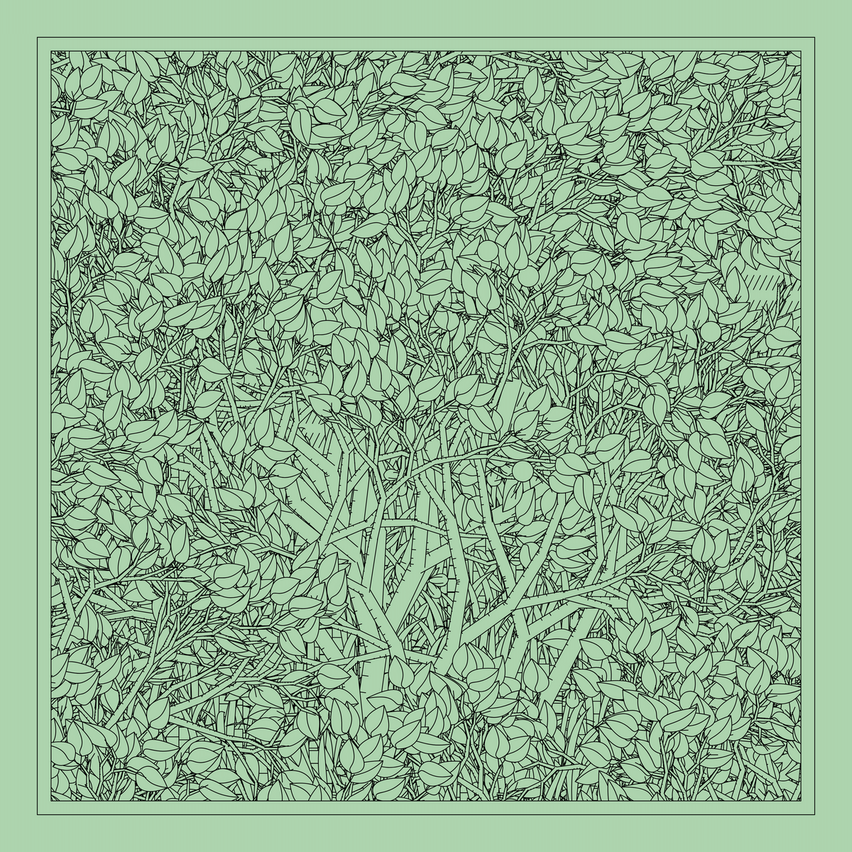 Mint #72